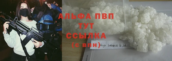 спайс Арсеньев