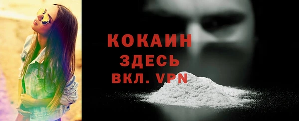 спайс Арсеньев