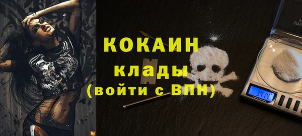 спайс Арсеньев