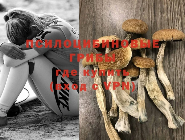 марки nbome Аркадак