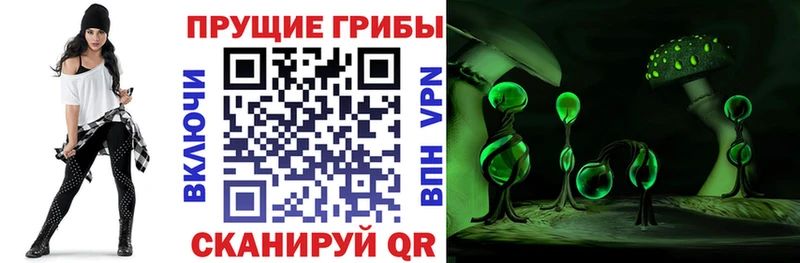 Галлюциногенные грибы GOLDEN TEACHER  blacksprut зеркало  Покачи 